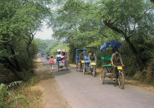 Bharatpur vogelreservaat